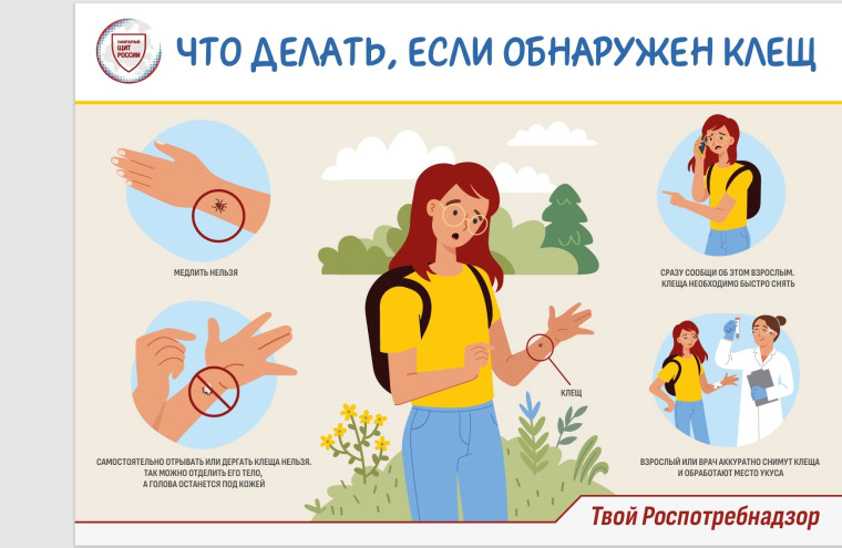 🛑С каждым днем усиливается активность клещей🛑.