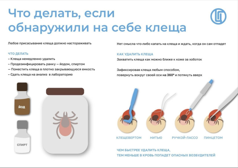 #санпросвет.